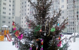 Установка новогодней ёлки на придомовой территории по адресу ул. Делегатская, 35 и 35А