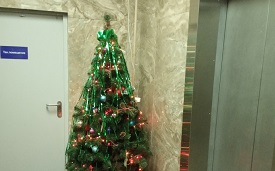 Установка новогодних елок в доме по адресу 1-я Красноармейская, 5
