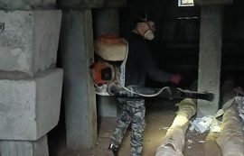 Дезинсекция в ЖК Медовый