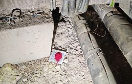 Дератизация подвальных помещений Дератизация подвальных помещений