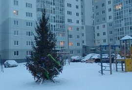 Новогодние приготовления
