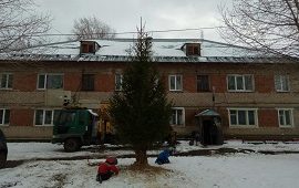 Установка живых ёлок на придомовых территориях