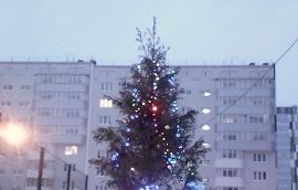 Новогодняя ёлочка на придомовой территории по адресу: ул. Целинная, 45, 47 и 49а
