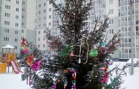 Установка новогодней ёлки на придомовой территории по адресу ул. Делегатская, 35 и 35А