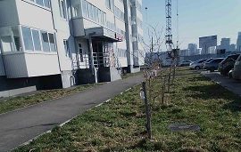 Будни управляющей компании
