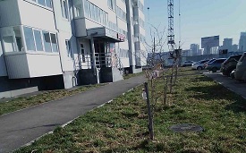 Будни управляющей компании
