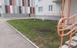 Покраска бордюров на придомовых территориях Покраска бордюров на придомовых территориях