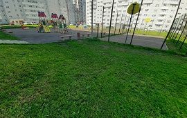 Покос травы на придомовых территориях Покос травы на придомовых территориях