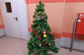 Установка елок во дворах домов и подъездах Установка елок во дворах домов и подъездах