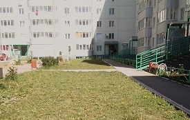 Покос травы на придомовых территориях Покос травы на придомовых территориях