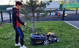 Благоустройство придомовых территорий