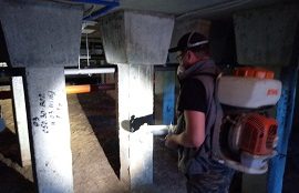 Дезинсекция подвальных помещений в доме по адресу ул. Ракитная, 42 Дезинсекция подвальных помещений в доме по адресу ул. Ракитная, 42