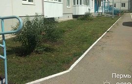 Покос травы на придомовых территориях Покос травы на придомовых территориях