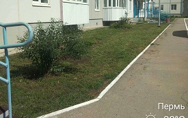 Покос травы на придомовых территориях Покос травы на придомовых территориях