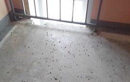 Дезинсекция мест общего пользования дома по адресу ул. Ракитная, 42 Дезинсекция мест общего пользования дома по адресу ул. Ракитная, 42