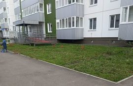 Покос травы на придомовых территориях Покос травы на придомовых территориях