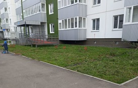 Покос травы на придомовых территориях