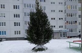 Установка новогодних елок на придомовых территориях Установка новогодних елок на придомовых территориях