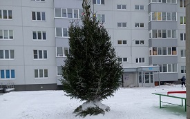 Установка новогодних елок на придомовых территориях Установка новогодних елок на придомовых территориях