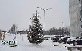 Установка новогодних ёлок на придомовых территориях Установка новогодних ёлок на придомовых территориях