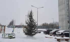 Установка новогодних ёлок на придомовых территориях Установка новогодних ёлок на придомовых территориях