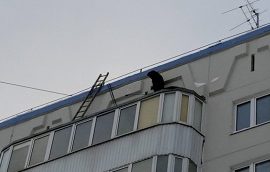 Частичный ремонт кровли над балконом в доме по адресу ул. Целинная, 45