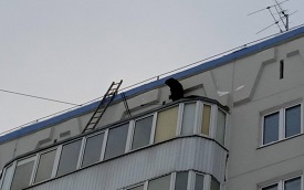 Частичный ремонт кровли над балконом в доме по адресу ул. Целинная, 45