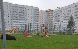 Покос травы на придомовых территориях Покос травы на придомовых территориях