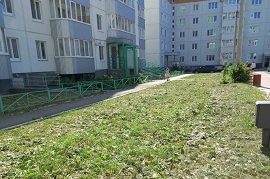 Покос травы на придомовых территориях