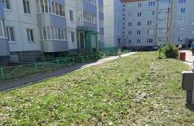 Покос травы на придомовых территориях