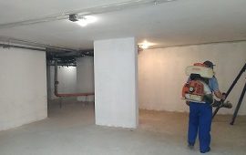 Дезинсекция мест общего пользования Дезинсекция мест общего пользования