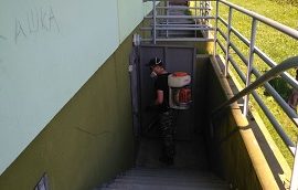 Дезинфекция подвалов в с. Лобаново Дезинфекция подвалов в с. Лобаново