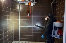 Проведение дезинсекции в многоквартирных домах Проведение дезинсекции в многоквартирных домах