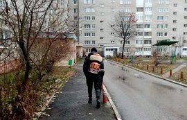 Дезинсекционная обработка в многоквартирных домах Дезинсекционная обработка в многоквартирных домах