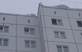 Уборка снежных навесов и наледи с кровли домов Уборка снежных навесов и наледи с кровли домов