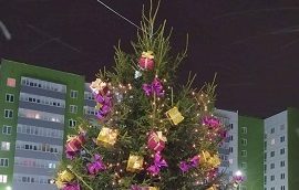 Установка новогодних ёлочек во дворах домов