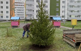 Благоустройство придомовых территорий