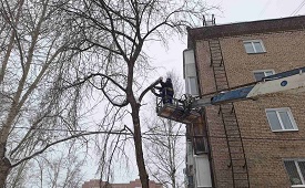 Спил аварийного дерева на придомовой территории по адресу ул. Кавалерийская, 17 Спил аварийного дерева на придомовой территории по адресу ул. Кавалерийская, 17