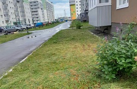 Покос травы на придомовых территориях Покос травы на придомовых территориях