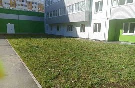 Покос травы на придомовых территориях Покос травы на придомовых территориях