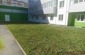 Покос травы на придомовых территориях Покос травы на придомовых территориях