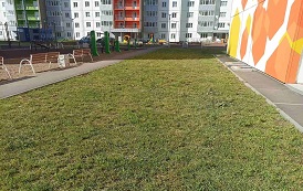 Покос травы на придомовых территориях