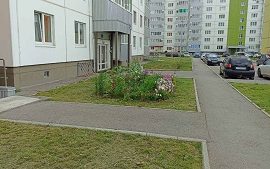 Покос травы на придомовых территорий