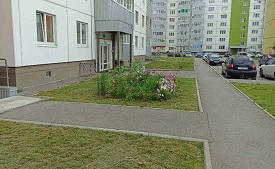 Покос травы на придомовых территорий