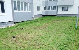 Покос травы на придомовой территории по адресу ул. Гашкова, 51