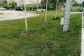 Покос травы на придомовой территории по адресу ул. Кронштадтская, 45, 47