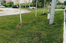 Покос травы на придомовой территории по адресу ул. Кронштадтская, 45, 47