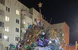 Установка новогодней елочки на придомовой территории по адресу ул. Зеленая, 3/1