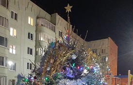 Установка новогодней елочки на придомовой территории по адресу ул. Зеленая, 3/1