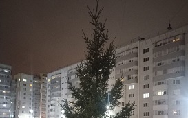 Установка елочки на придомовой территории по адресу ул. Целинная, 45